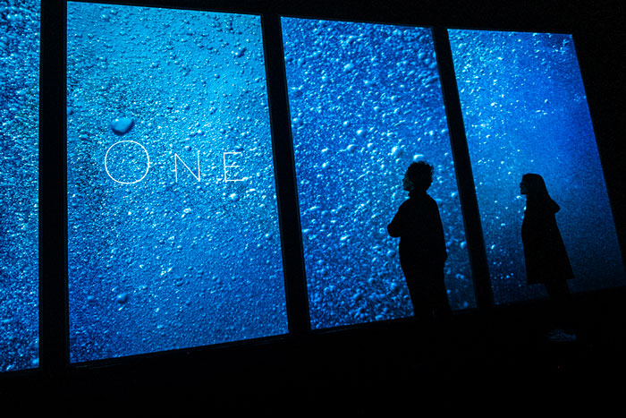 0107-2-1.jpg (134 KB)